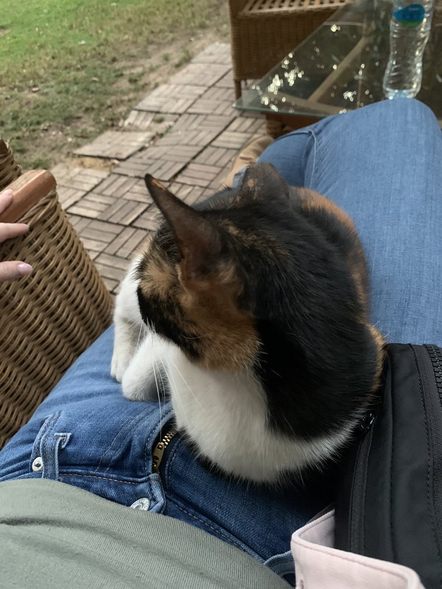 Dr Stephanie Boonstra tweet media