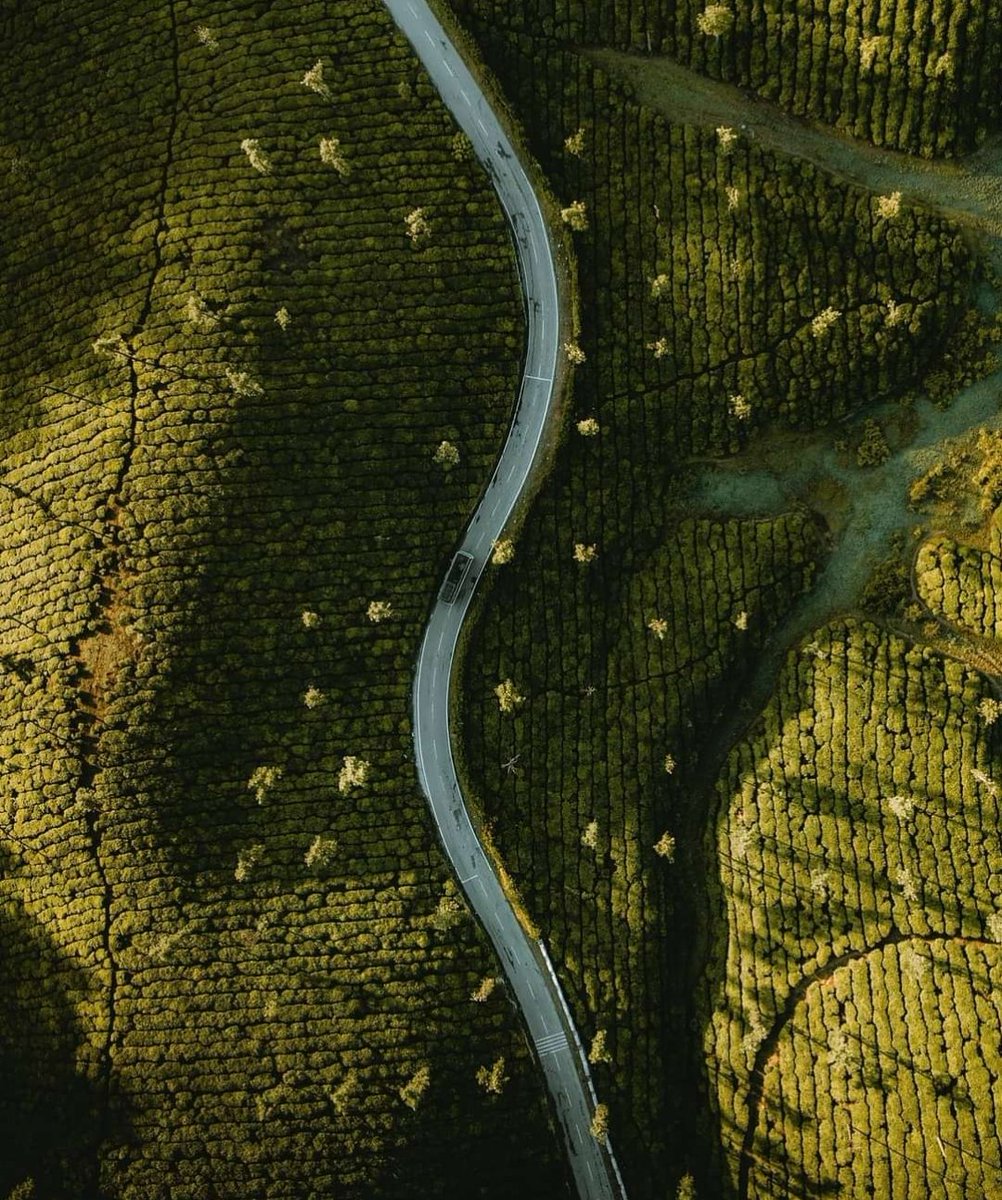 Drone shot of valparai, forwarded one.