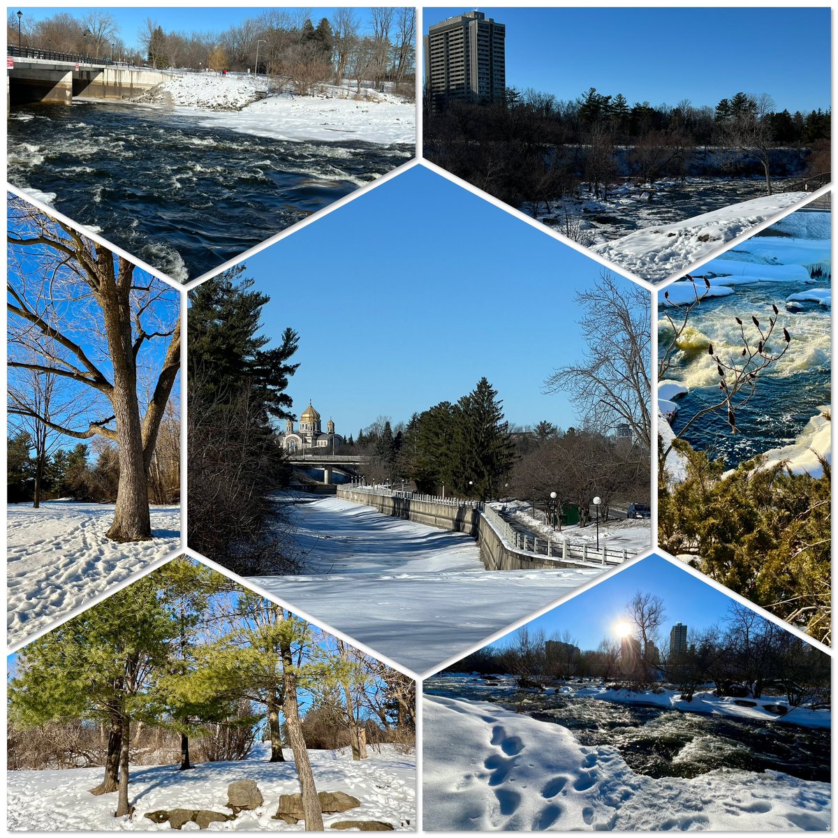 Another gorgeous day in Ottawa 🫠 Off to see the Winterlude’s ice sculptures ❄️

Have a beautiful day everyone 💙🩵🤍

Taken yesterday at Hog’s Back Park, Ottawa, ON