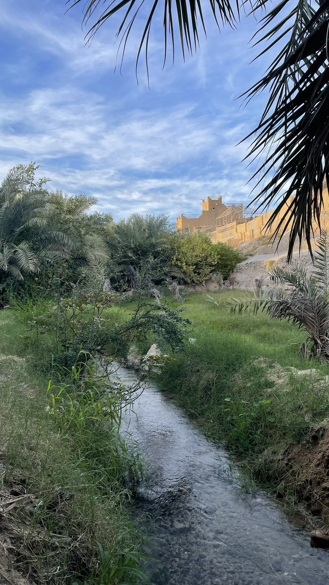 #تصويري #عين_الجابرية 
#ينبع_النخل 🌴