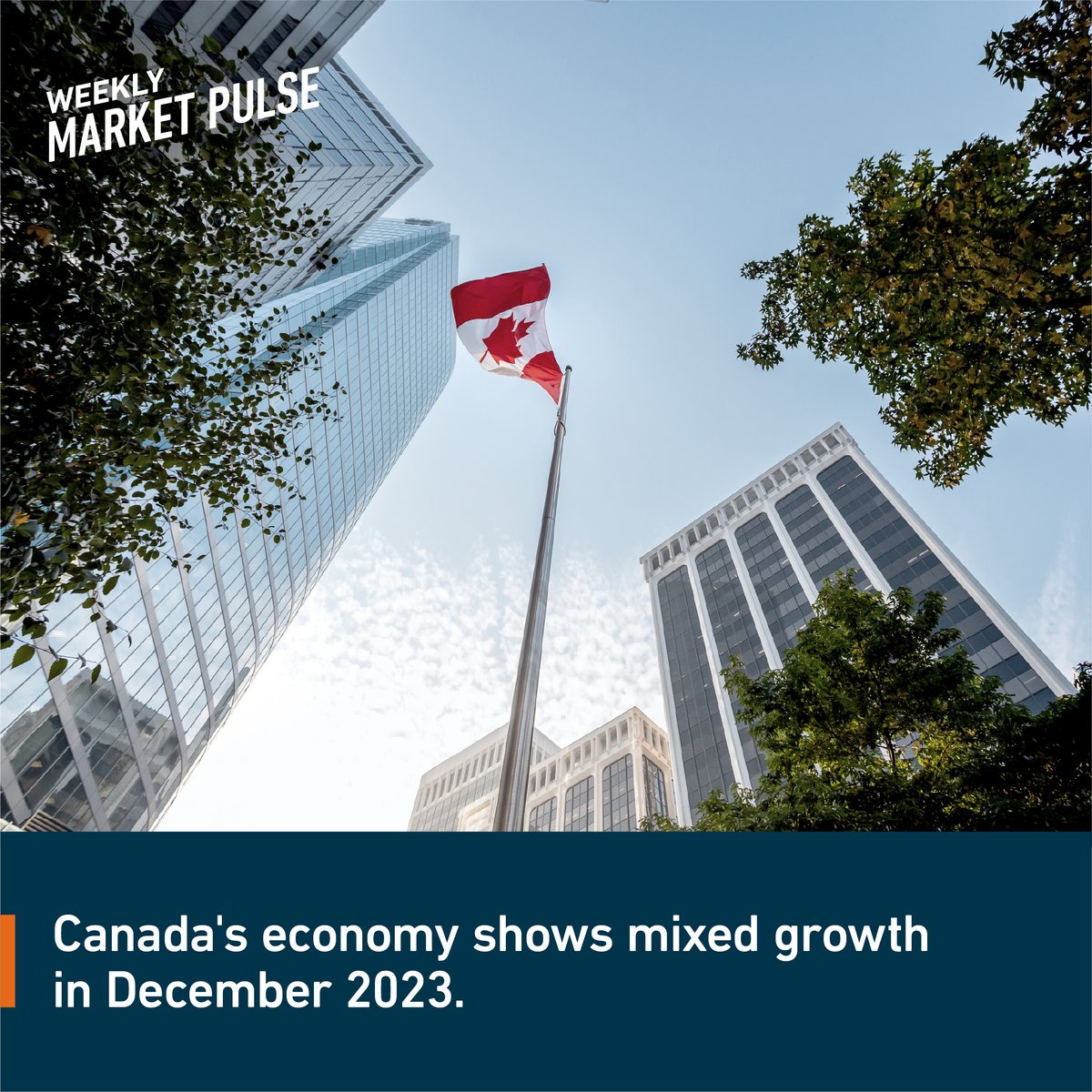 Click the link below 👇 and make informed investment decisions based on market trends from Qtrade’s Weekly Market Pulse. 
 
bit.ly/3wc2unC
 
#WriteYourOwnFuture #MarketInsights