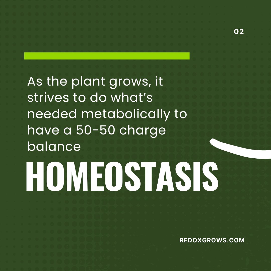 redoxgrows's tweet photo. At first glance, your farm field may appear calm and orderly. In reality, plants are under constant stress. The goal is to get your crops into homeostasis which will ultimately improve your yield and quality. Learn more in our latest blog with Redox CEO Darin Moon. https://t.co/RgdXnx8pGF