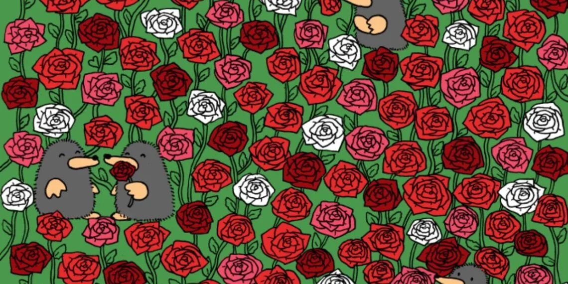 chilli_tech's tweet image. Can You Find 3 Hearts Among Roses? Love Puzzle: 15 Secs.

See here - techchilli.com/puzzles/brain-…

#brainteaser #logicalimplication