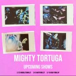 Photo by Mighty Tortuga is a band (@MightyTortuga)