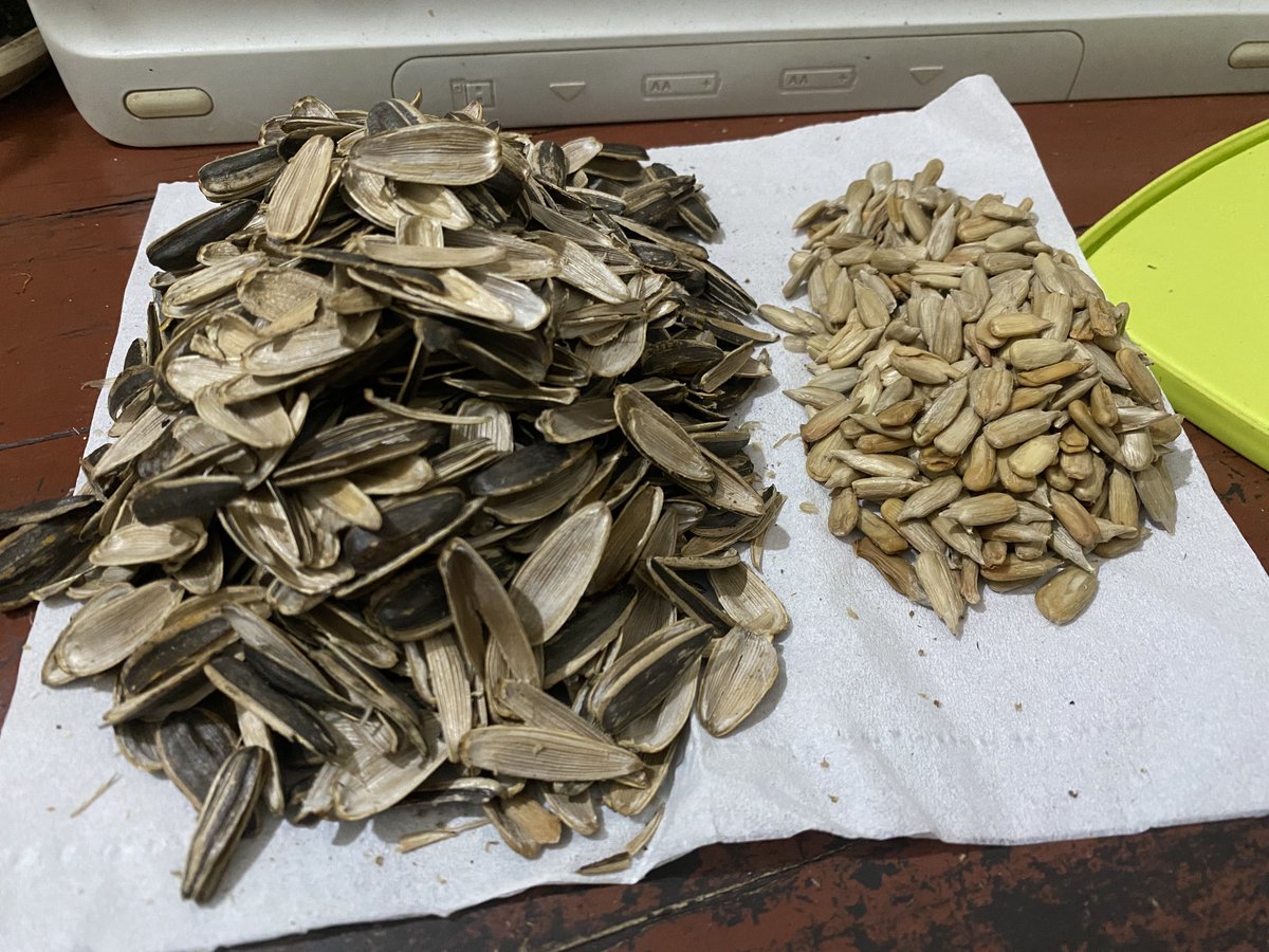 Kegiatan yg membagongkan~