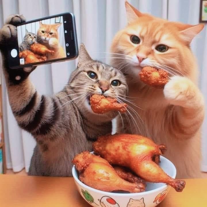 Cat lovers (@Cat_lovist) / Posts / X