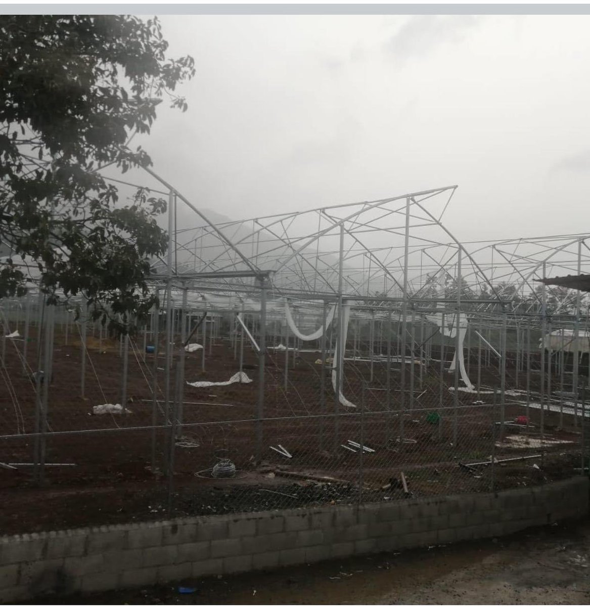 torrespld01's tweet photo. Solicitamos al Presidente @luisabinader y a las autoridades del Sector Agropecuario del gobierno del @prm_oficial venir a #Constanza #ConstanzaRD , en auxilio de los agricultores, tan pronto sea posible, por los diversos daños ocurridos anoche por los fuertes vientos y lluvias . https://t.co/uCO5WXdU0x