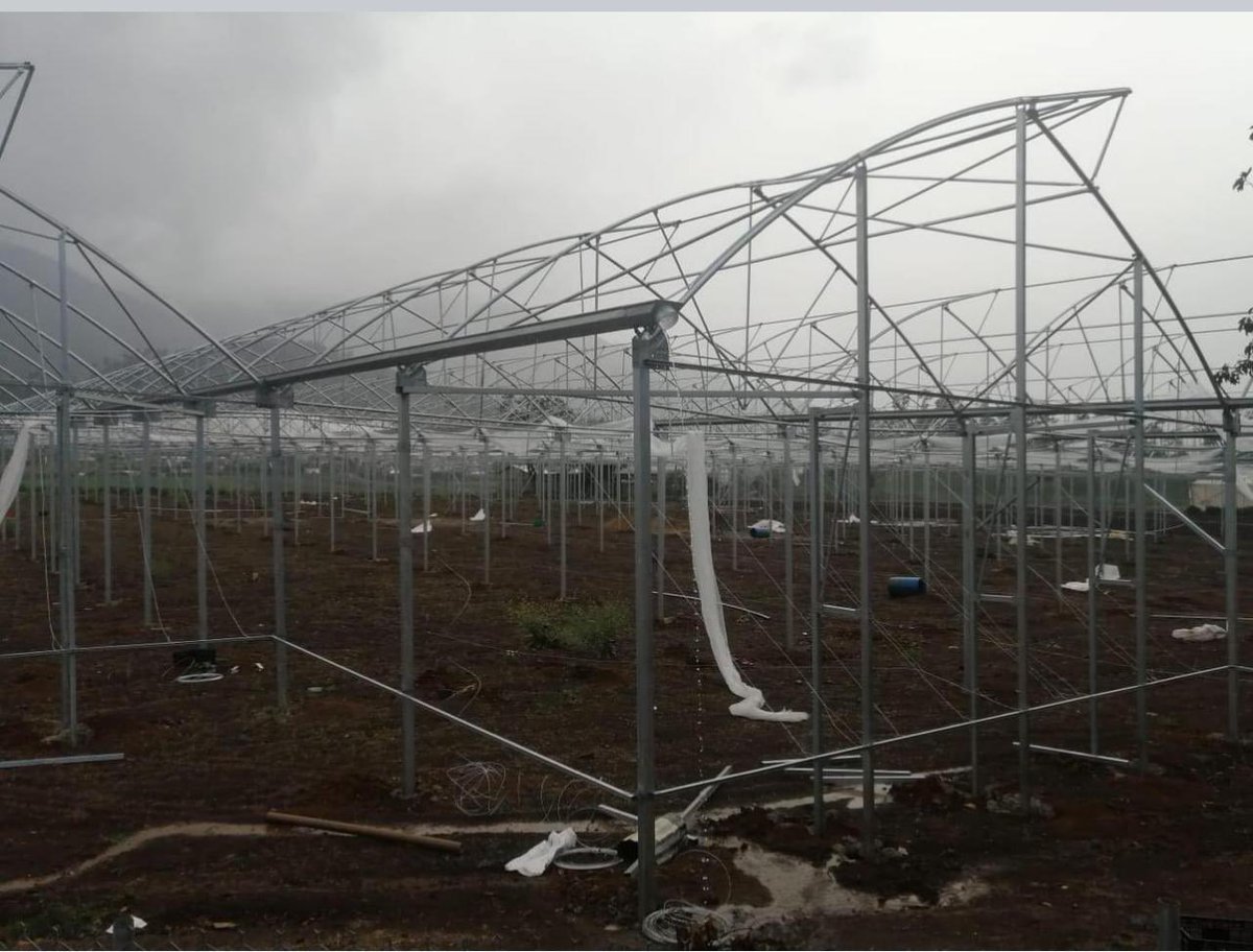 torrespld01's tweet photo. Solicitamos al Presidente @luisabinader y a las autoridades del Sector Agropecuario del gobierno del @prm_oficial venir a #Constanza #ConstanzaRD , en auxilio de los agricultores, tan pronto sea posible, por los diversos daños ocurridos anoche por los fuertes vientos y lluvias . https://t.co/uCO5WXdU0x