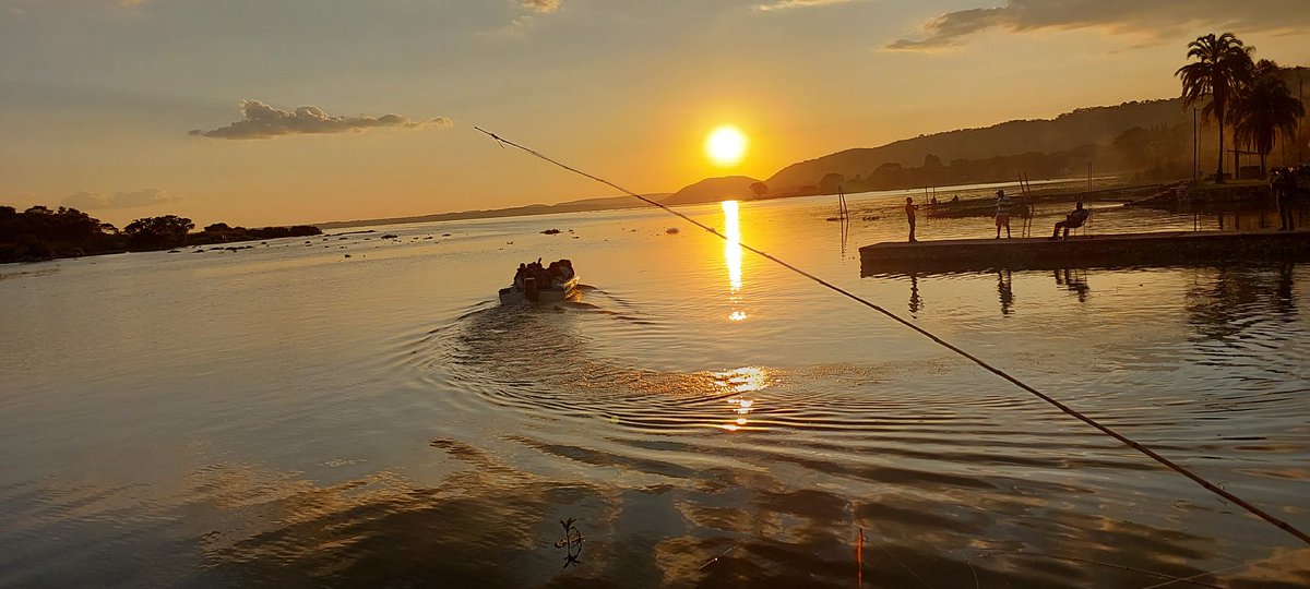 Innocent TG tweet media