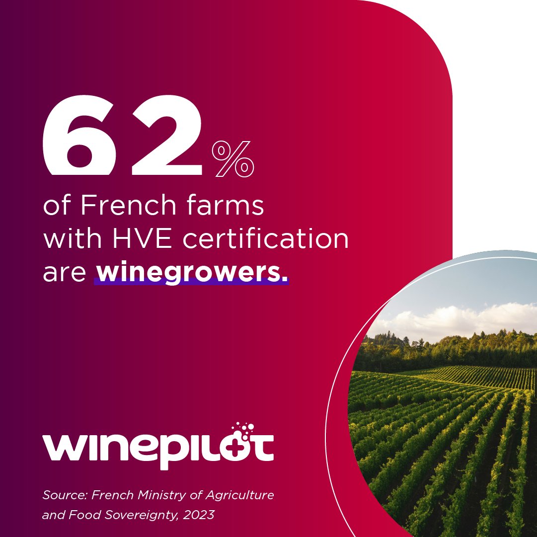 WinePilot_FR tweet media