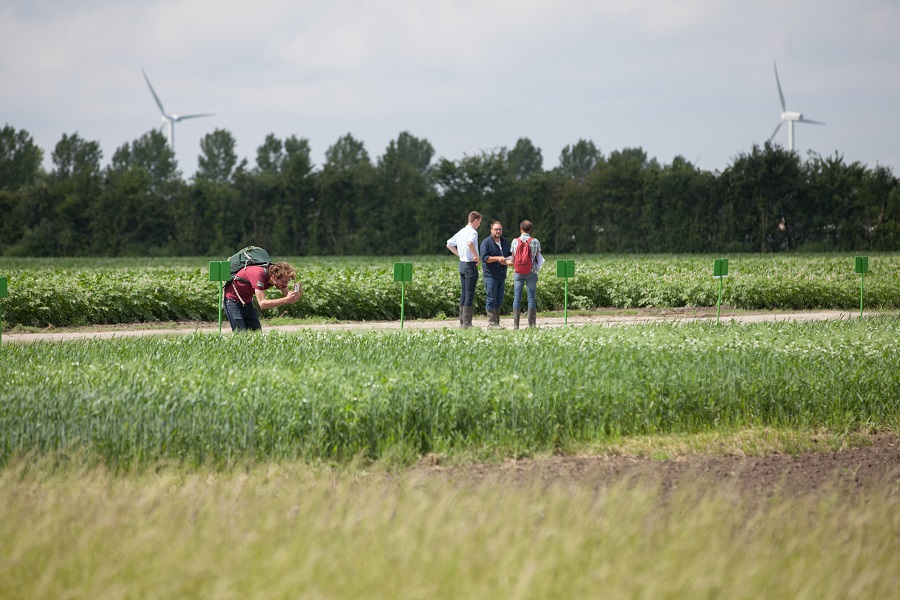 Genoeg belangstelling in de #plantaardige sector voor #omschakeling naar #biologisch. Nu moet de markt ruimte gaan geven. In Nieuwe Oogst beschrijft Jorg Tönjes wat BioAcademy partners hierover vertellen in kennissessies op de #biobeurs. Een impressie👇
bioacademy.nl/nieuws/teler-w…