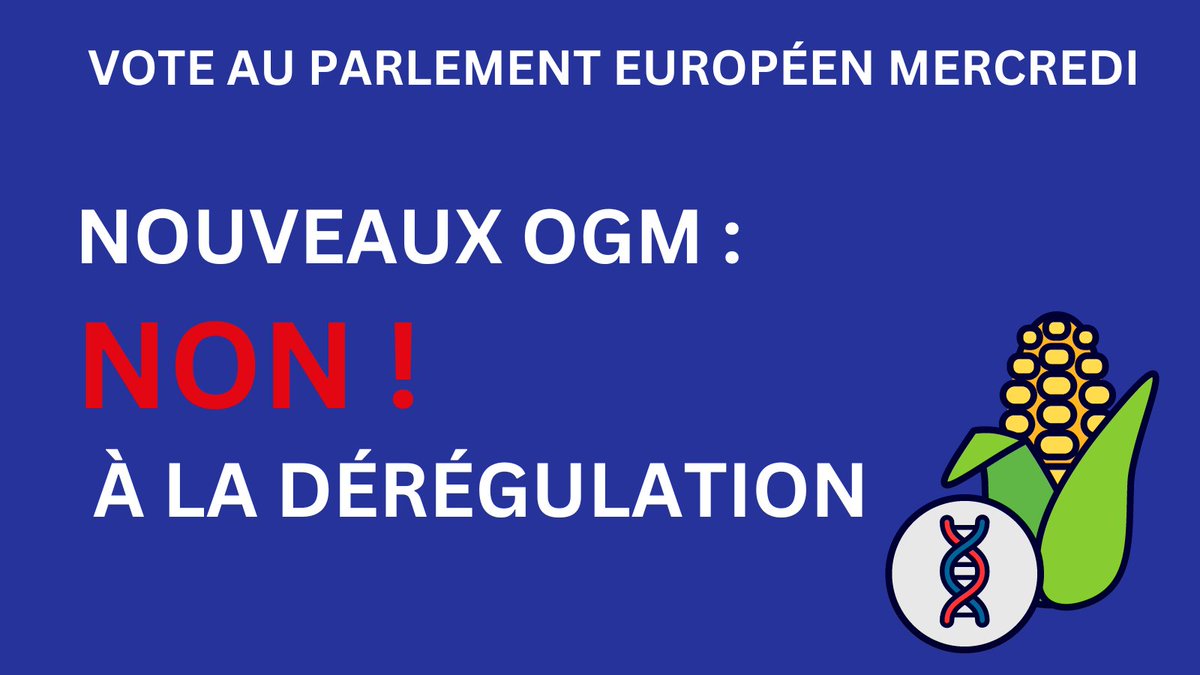 [#NGT] Les consommateurs veulent savoir ce qu'ils mettent dans leur 🍽️
Les nouveaux #OGM ne doivent pas avancer masqués 🥸 ! Demain, les eurodéputés doivent dire NON à la dérégulation des #nouveauxOGM et à la suppression de l'étiquetage.