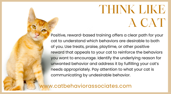 Pay attention to what your cat communicates by behavior.

#thinklikeacat