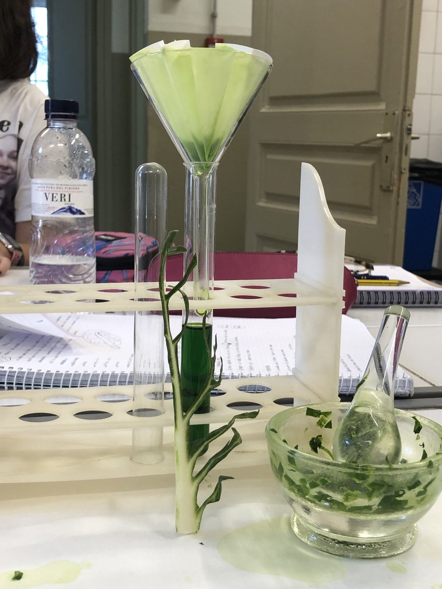 Escola Santa Anna tweet media