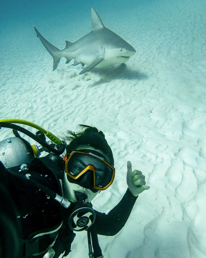 TUSADiving's tweet photo. #TeamTUSATuesday!

@beatrizmgamboa captured an epic moment while rocking  the Freedom HD. 🦈

#TUSA #TeamTUSA #sharks #scubadiving #diving https://t.co/A9Thqqa9CI