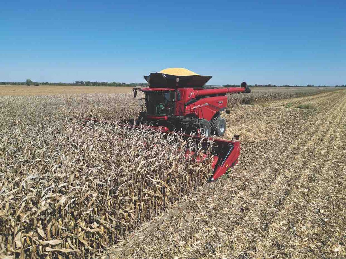 LiveWorkGrowCIA's tweet photo. With 24% more power, a larger grain tank, and the first ever AFXL2 Dual Rotor Technology for 50% more separation to process high-yielding crops, we introduce to you the largest Case IH Combine (btw: 32% larger!)…

….the Case IH AF11! 💥 https://t.co/s7SukqVmyQ