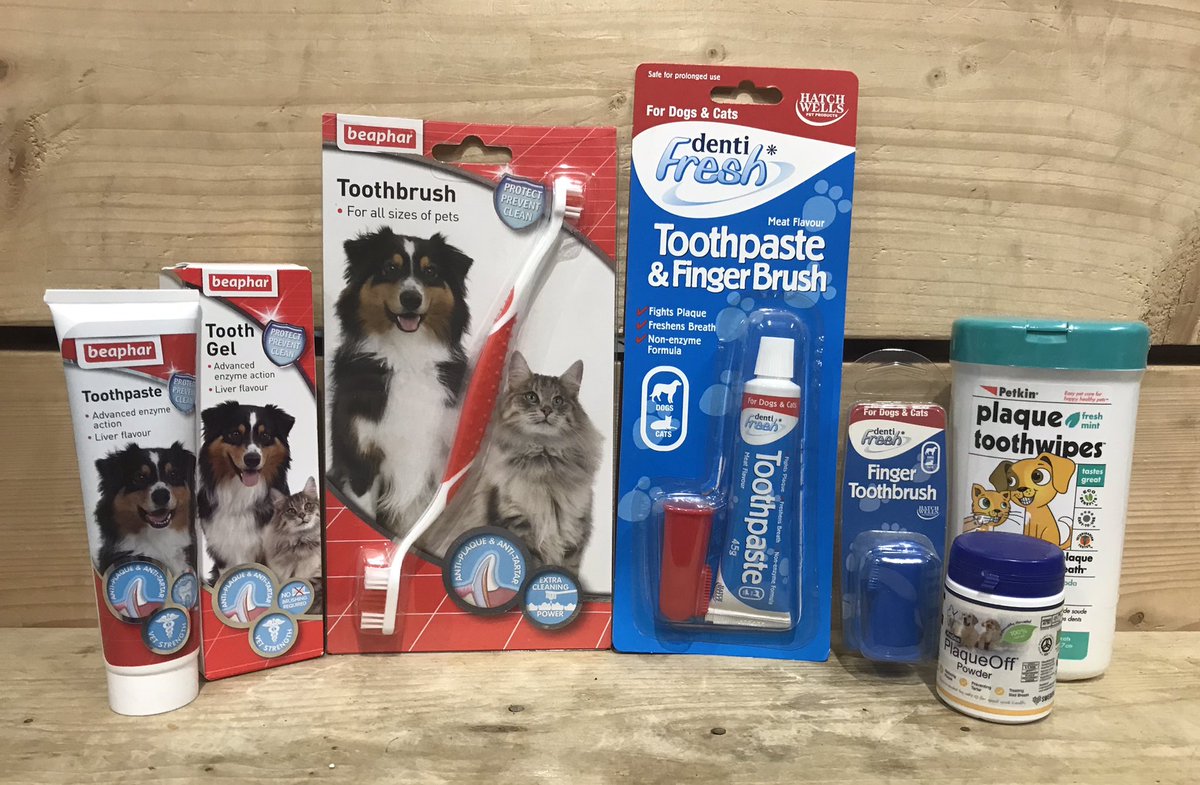 Did you know that February is Pet Dental Health month!
#petdentalcare
#brushbrushbrush
#plaqueoffdog