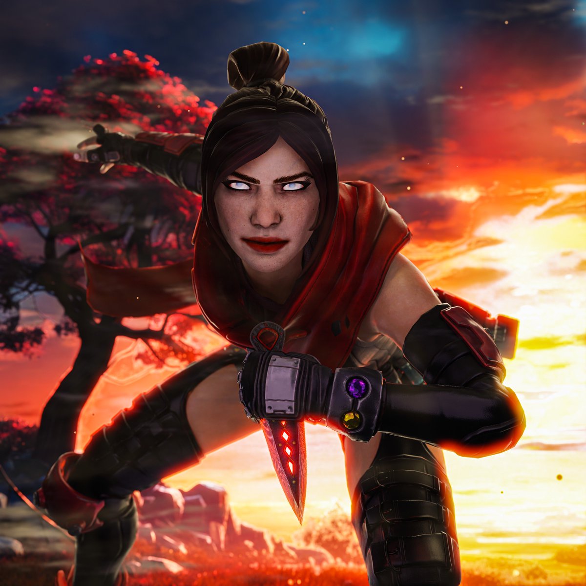 Hashtag Loba tweet media