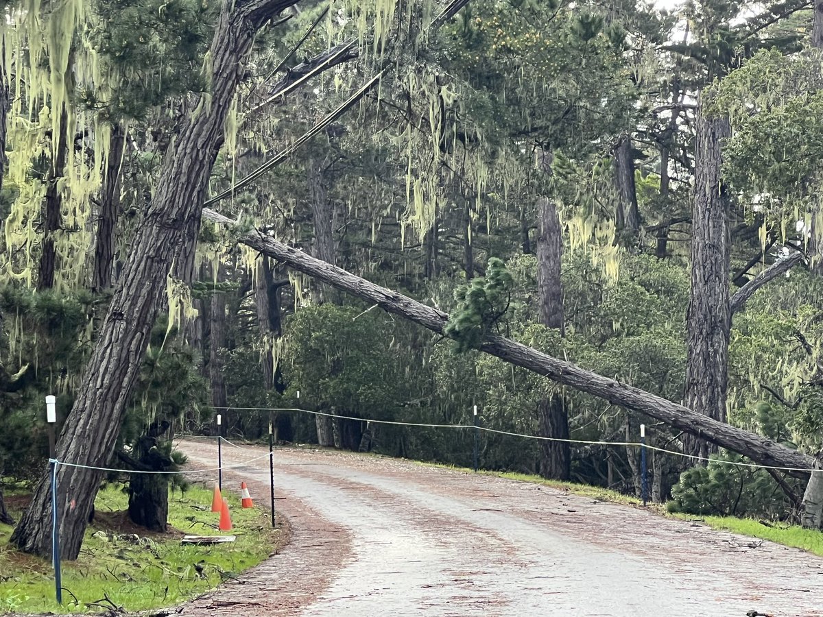 Eric Ley (@ericleymd) on Twitter photo School drop off in Pebble Beach this morning was still hazardous. Glad <a href="/attproam/">AT&T Pebble Beach Pro-Am</a> was cancelled. Thanks <a href="/MontereyFire/">MontereyFire&Rescue</a> <a href="/CalFireSafe/">FireSafe California</a> <a href="/PGE4Me/">Pacific Gas & Electric</a> School drop off in Pebble Beach this morning was still hazardous. Glad <a href="/attproam/">AT&T Pebble Beach Pro-Am</a> was cancelled. Thanks <a href="/MontereyFire/">MontereyFire&Rescue</a> <a href="/CalFireSafe/">FireSafe California</a> <a href="/PGE4Me/">Pacific Gas & Electric</a>