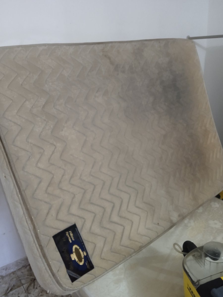 PromekaG's tweet image. ᒪIᗰᑭIEᘔᗩ E ᕼIGIEᑎIᘔᗩᑕIÓᑎ ᗪE ᗰᑌEᗷᒪES, ᑕOᒪᑕᕼOᑎES ᐯEᕼIᑕᑌᒪOS, ᗩᒪᖴOᗰᗷᖇᗩS ᑎᑌESTᖇO TᖇᗩᗷᗩᒍO Eᑎ ᖇEᗪES SOᑕIᗩᒪES: TᗯITTEᖇ @ᑭᖇOᗰEKᗩG / IᑎSTᗩGᖇᗩᗰ @ᒍᗩᐯIEᖇ2274