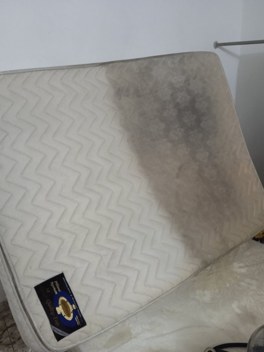 PromekaG's tweet image. ᒪIᗰᑭIEᘔᗩ E ᕼIGIEᑎIᘔᗩᑕIÓᑎ ᗪE ᗰᑌEᗷᒪES, ᑕOᒪᑕᕼOᑎES ᐯEᕼIᑕᑌᒪOS, ᗩᒪᖴOᗰᗷᖇᗩS ᑎᑌESTᖇO TᖇᗩᗷᗩᒍO Eᑎ ᖇEᗪES SOᑕIᗩᒪES: TᗯITTEᖇ @ᑭᖇOᗰEKᗩG / IᑎSTᗩGᖇᗩᗰ @ᒍᗩᐯIEᖇ2274