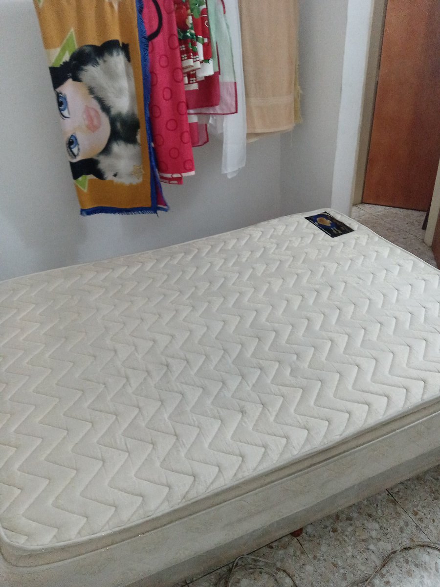 PromekaG's tweet image. ᒪIᗰᑭIEᘔᗩ E ᕼIGIEᑎIᘔᗩᑕIÓᑎ ᗪE ᗰᑌEᗷᒪES, ᑕOᒪᑕᕼOᑎES ᐯEᕼIᑕᑌᒪOS, ᗩᒪᖴOᗰᗷᖇᗩS ᑎᑌESTᖇO TᖇᗩᗷᗩᒍO Eᑎ ᖇEᗪES SOᑕIᗩᒪES: TᗯITTEᖇ @ᑭᖇOᗰEKᗩG / IᑎSTᗩGᖇᗩᗰ @ᒍᗩᐯIEᖇ2274