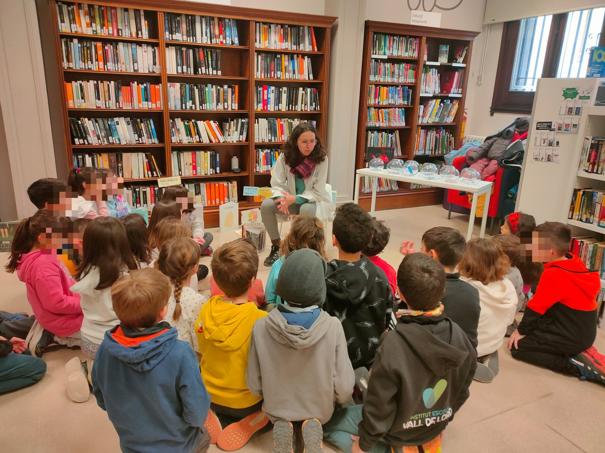 Biblioteca.stllm tweet media