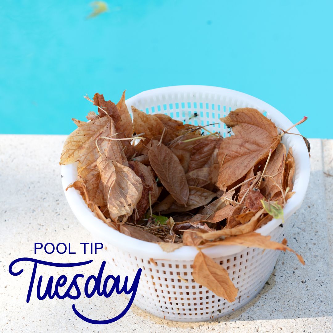 DistinctiveSwim's tweet image. Check your pool's skimmer basket regularly throughout the winter and make sure to clean any debris to help prevent clogs and damage. #PoolTipTuesday #PoolTip