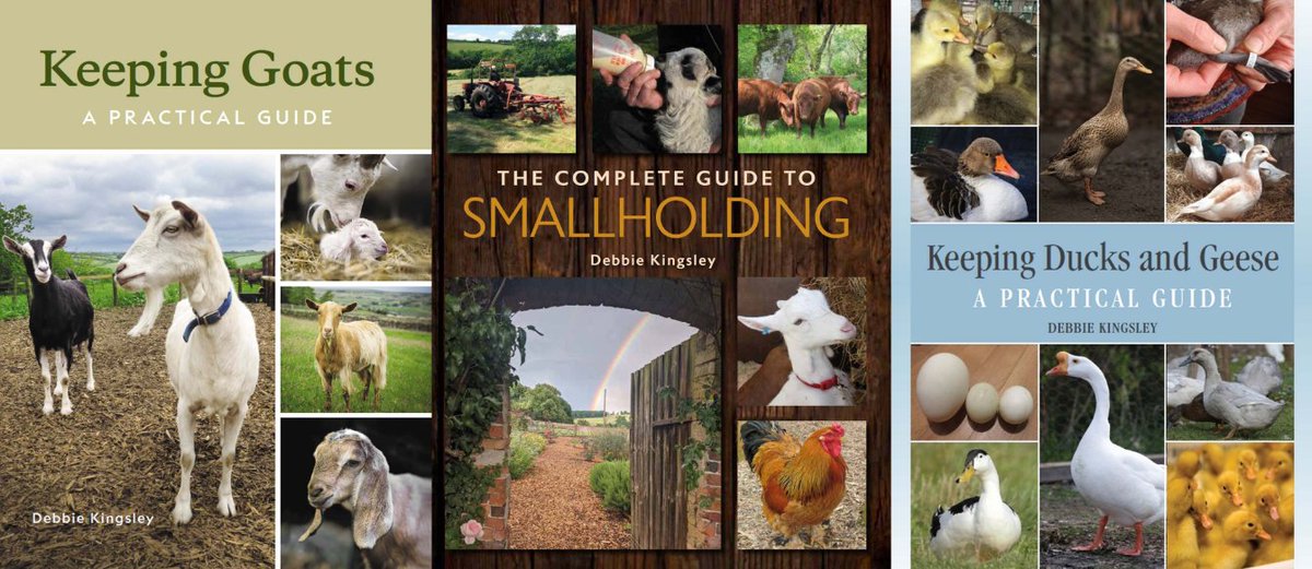 It's been 24 hours since I posted out a book. I'm getting withdrawal symptoms! The Complete Guide to Smallholding £18.50 Keeping Goats - A Practical Guide £18.50 Keeping Ducks and Geese - A Practical Guide £17.50 plus £3 UK p&p for up to 2 books smallholdertraining.co.uk/recommended-bo…
