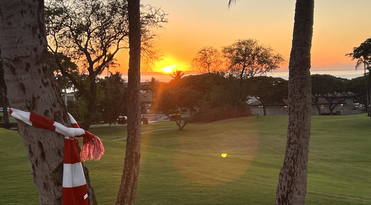 🌺 Island Adventures with Avenu! Where's Avenu?

Our Avenu team is soaking up the sun in a tropical paradise! Stay tuned as we embark on this exciting journey, bringing the Avenu spirit to every corner of the globe! 🌍 #WheresAvenu #GovTech