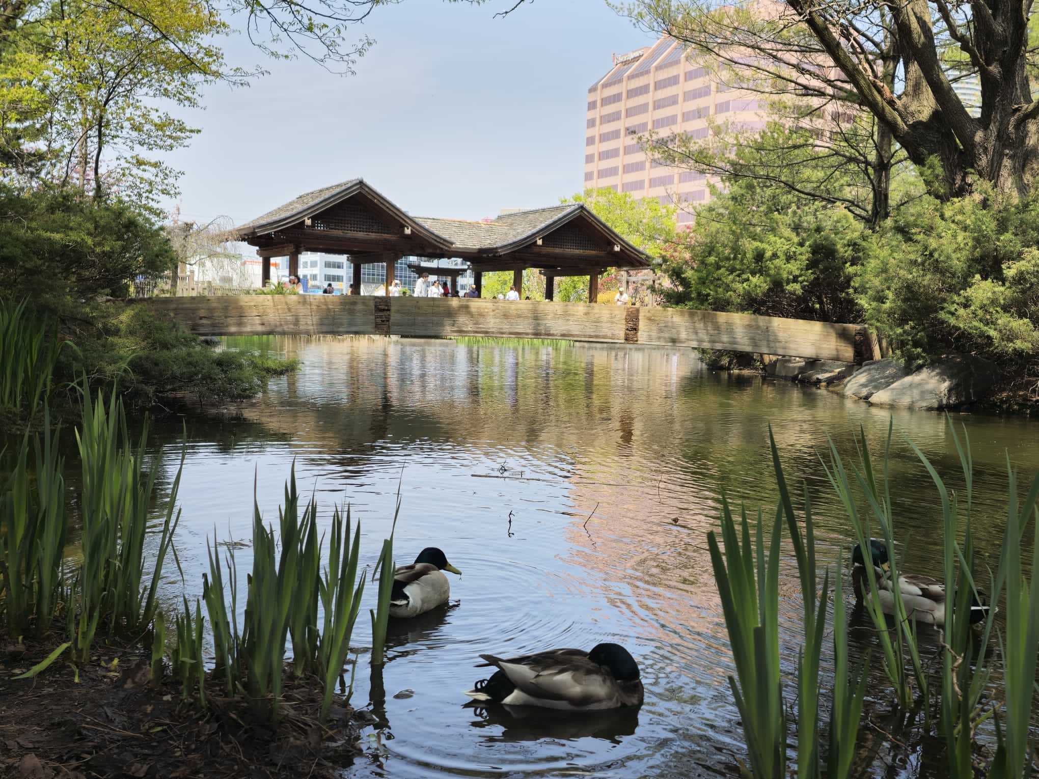 Kariya Park Map