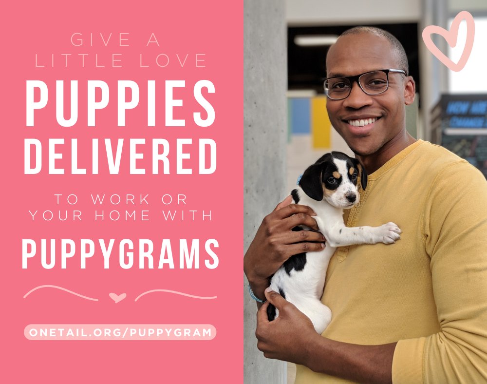 This Valentine’s Day, give the most memorable gift! You, your sweetheart, family, or office can enjoy a visit from foster puppies in One Tail’s care!
Puppygram deliveries are limited. Reserve yours today -&gt; onetail.org/puppygram