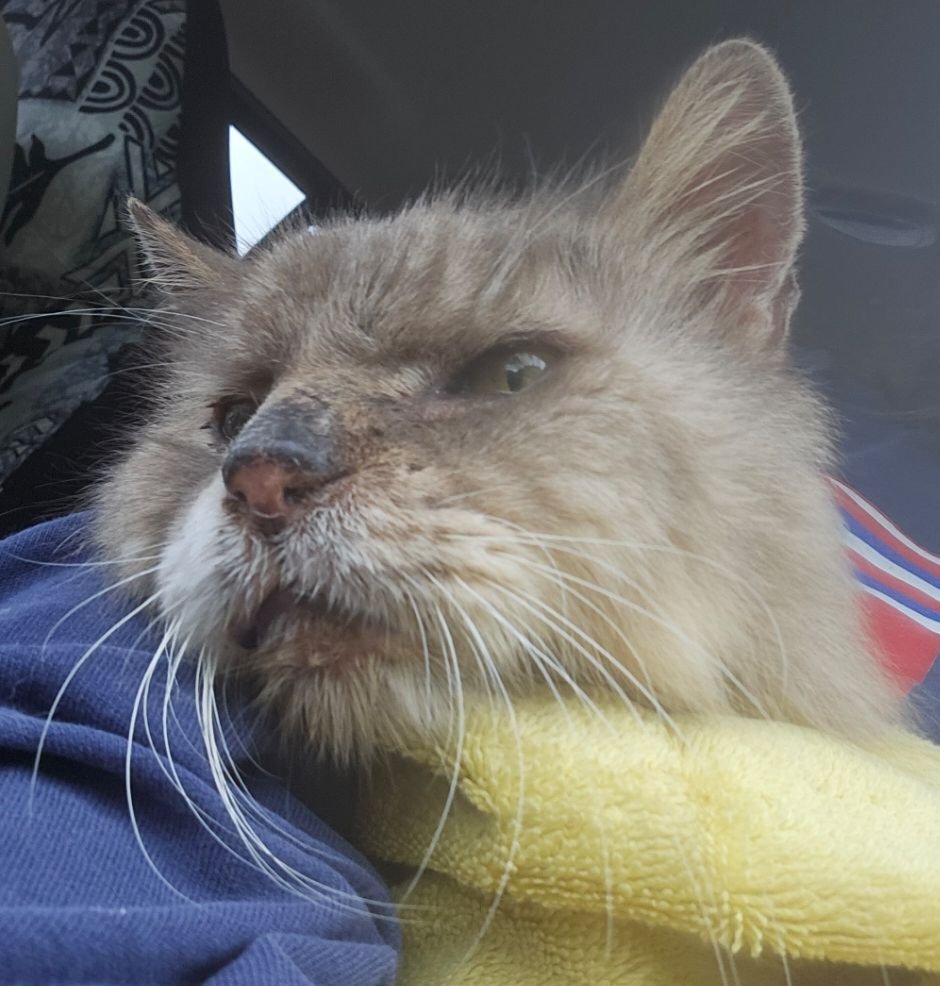 Mitchell Byars tweet media