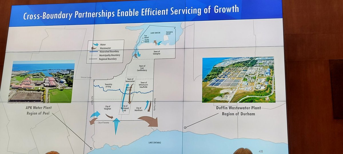 DinaGraser tweet media