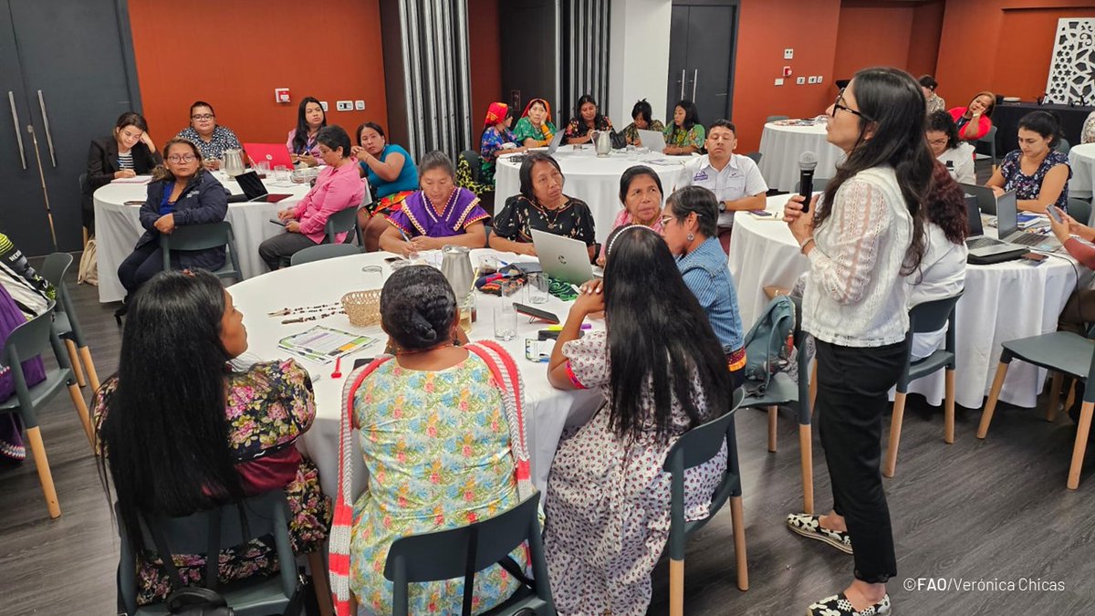FAOMesoamerica's tweet photo. 🇺🇳🇵🇦Destacando el trabajo conjunto que se ha realizado entre @FAO y @MiAmbientePma para contribuir en los ejes de #Mejormedioambiente🌳y cambio climático⛈️
#CLPI #mujerindígena #Unamejorvida https://t.co/AlkEkkFZXq