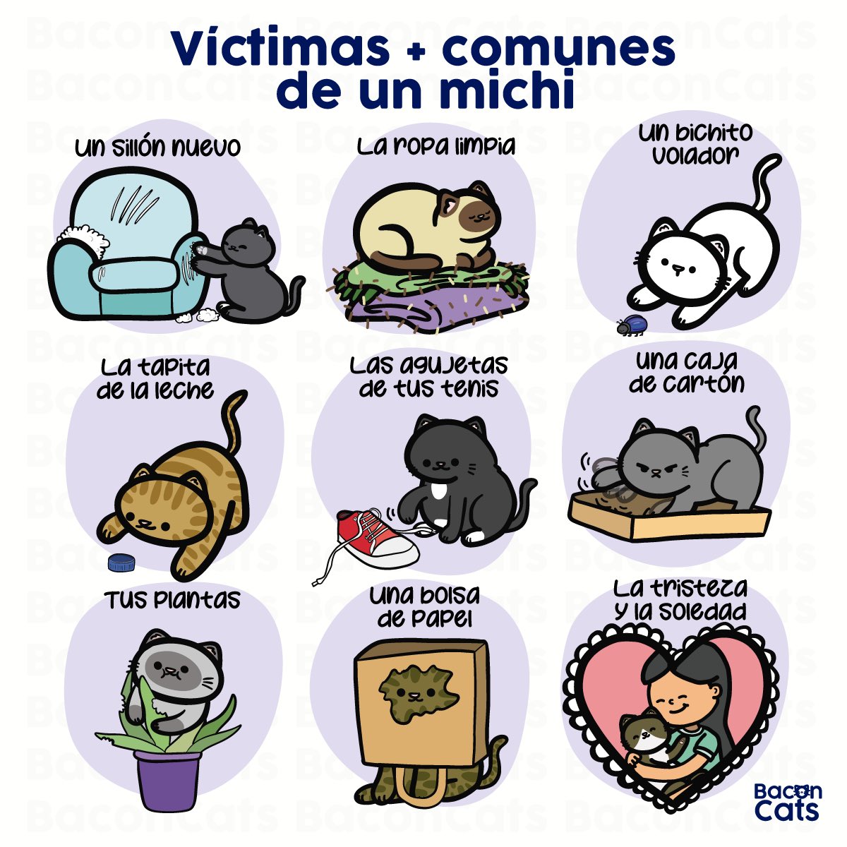 Baconcatsmx's tweet photo. Estos son los caídos a manos de los michis. Un precio adecuado 😅🐱 https://t.co/gQznJYVevV