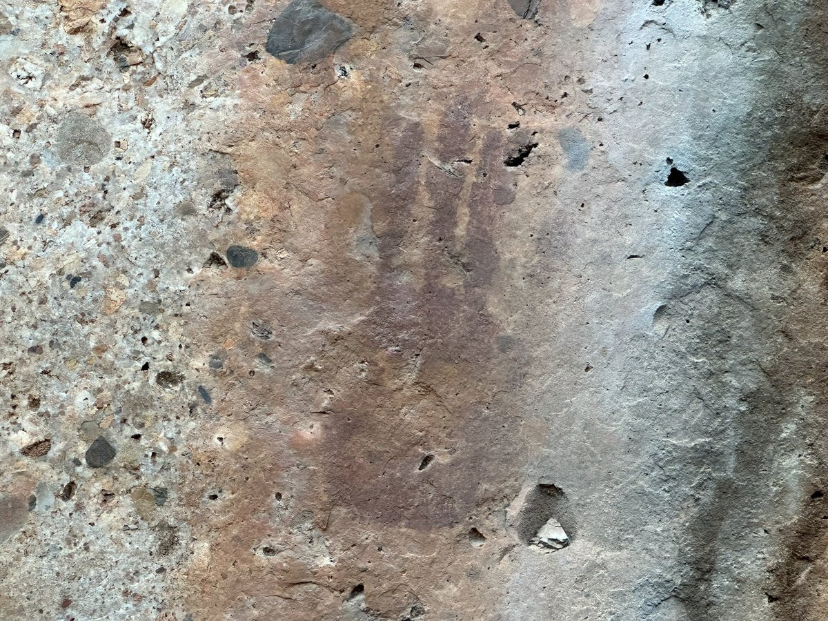 Looked at Merino & Dorper sheep between Narrowmine/Tullamore, etc. 

Saw some wild emu, kangaroos, cockatoos & more so far. 

Visited a really special rock formation with Aborginal art.

#Nuffield #GraysLAMBscaping #NuffieldAg #NuffieldInternational