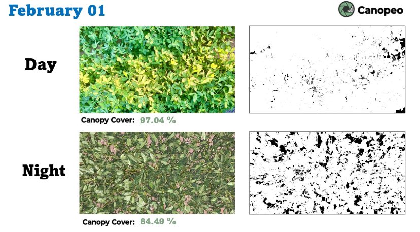 Juan Andres Paredes tweet media