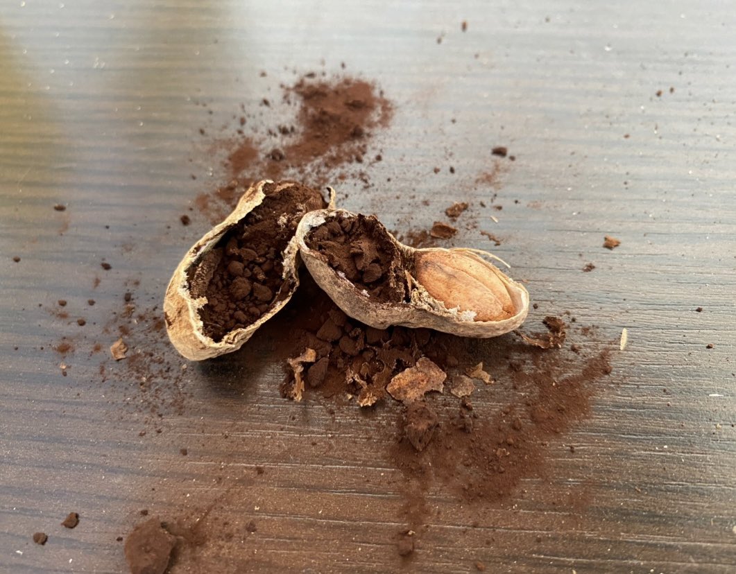 Juan Andres Paredes tweet media