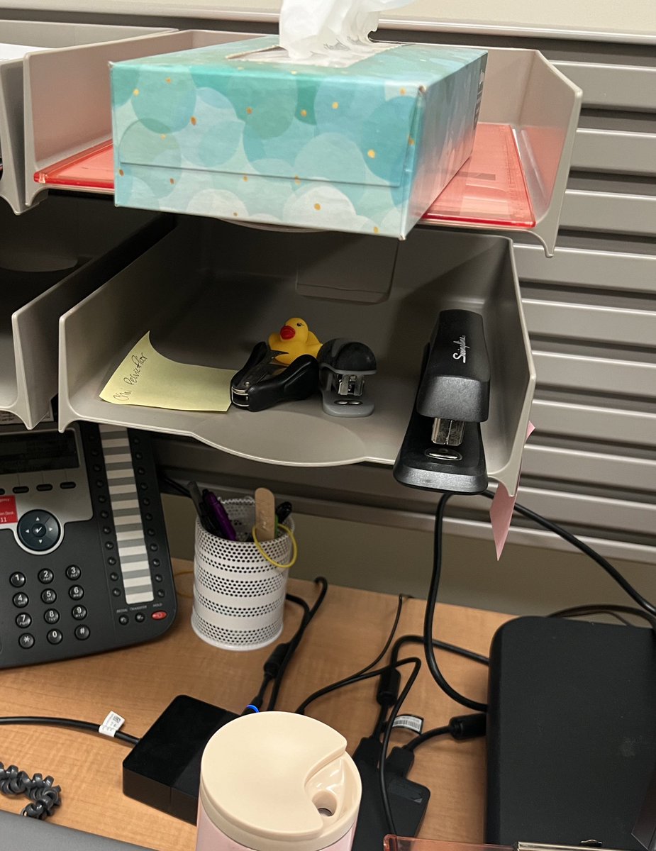 RichSmithDPT's tweet photo. a few weeks back i bought 100 tiny rubber ducks on amazon

i've slowly been hiding them one at a time around the clinic 

the number of ducks is slowly multiplying. no one knows where they're coming from. no one knows why. what do the ducks want?

duckocalypse 🦆🐥 https://t.co/Onw7O0boNA