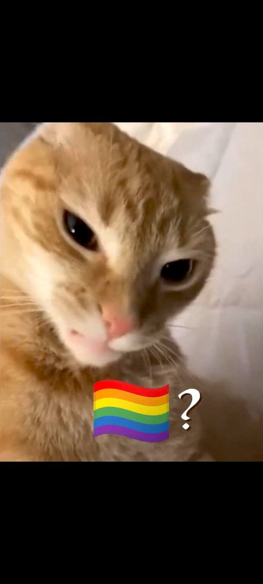 Sxlcry猫 tweet media