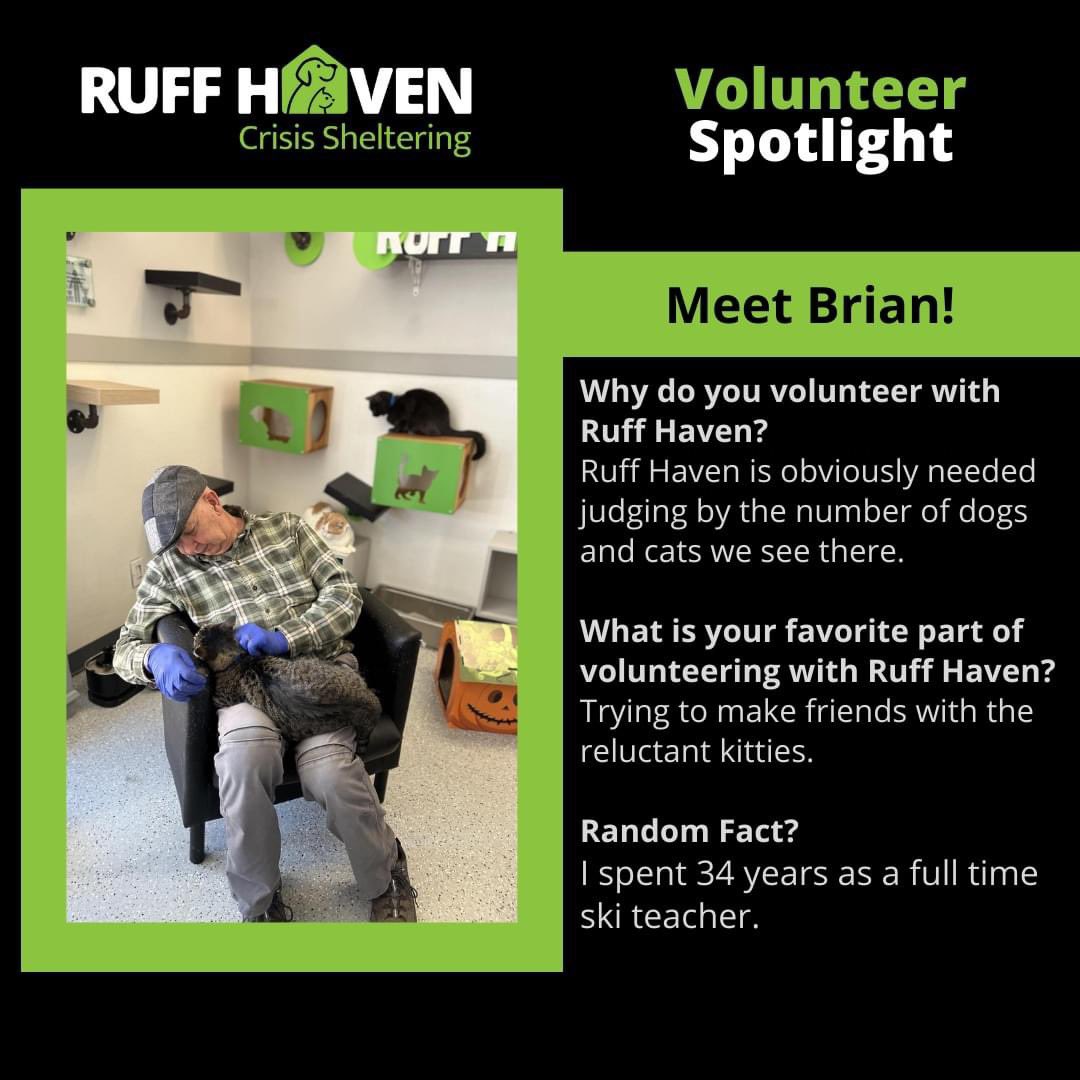 Ruff Haven tweet media
