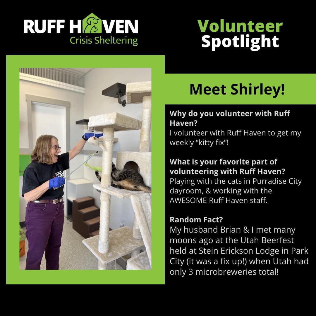 Ruff Haven tweet media