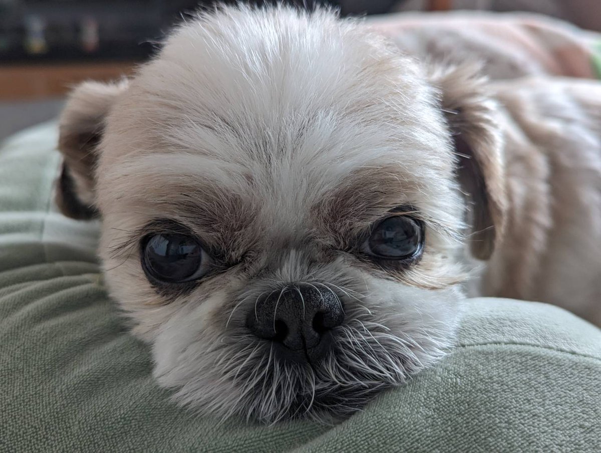 おはようございます🐶