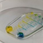 Photo by Bioprint Academy (@SE3Dedu)