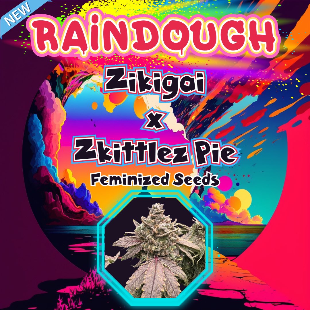 Raindough is our latest release. Raindough offers a unique