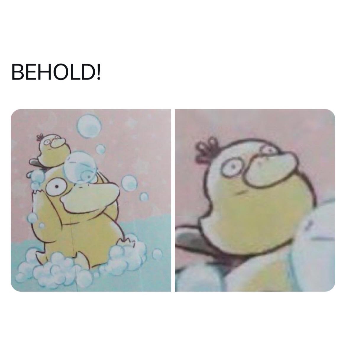 SavageDuck tweet media