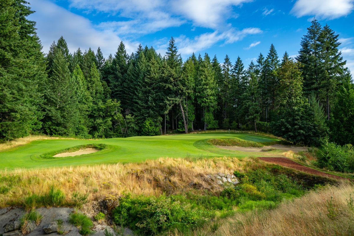 Golf in BC tweet media