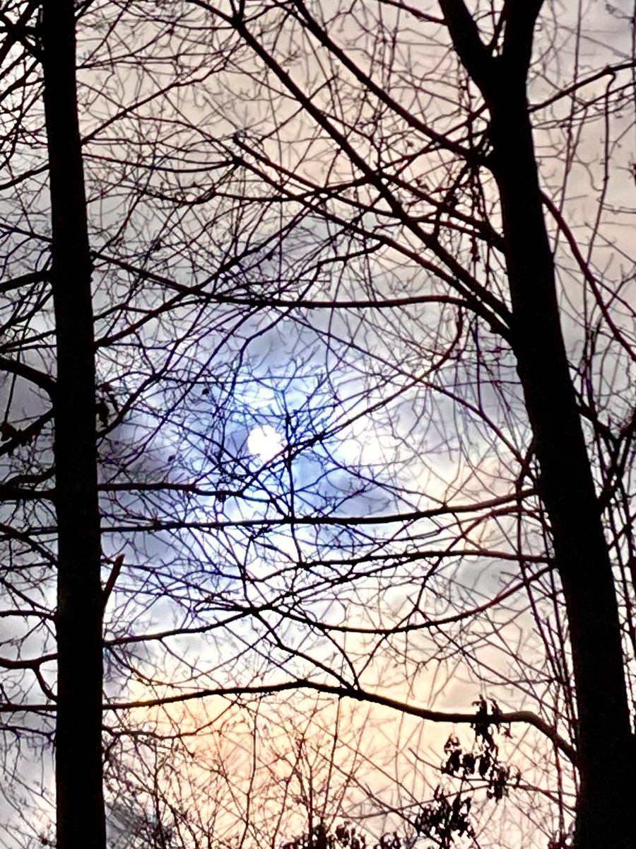 Allone34789's tweet photo. #NaturePhotography
#Naturephotography
#photography #Photography
#nature #naturelovers
#tree #clouds #cloudcolors
#outside #seasons
#February #naturesbeauty
#winter #sun https://t.co/hNE6bUk000