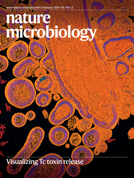 Oleg Sitsel (@oleg_sitsel) on Twitter photo So proud that our Tc toxin release story with <a href="/Intein/">Stefan Raunser</a> was featured on the cover of today's <a href="/NatureMicrobiol/">Nature Microbiology</a> issue! 🎉
Check out this 💥explosive 💥tale here: nature.com/articles/s4156… So proud that our Tc toxin release story with <a href="/Intein/">Stefan Raunser</a> was featured on the cover of today's <a href="/NatureMicrobiol/">Nature Microbiology</a> issue! 🎉
Check out this 💥explosive 💥tale here: nature.com/articles/s4156…